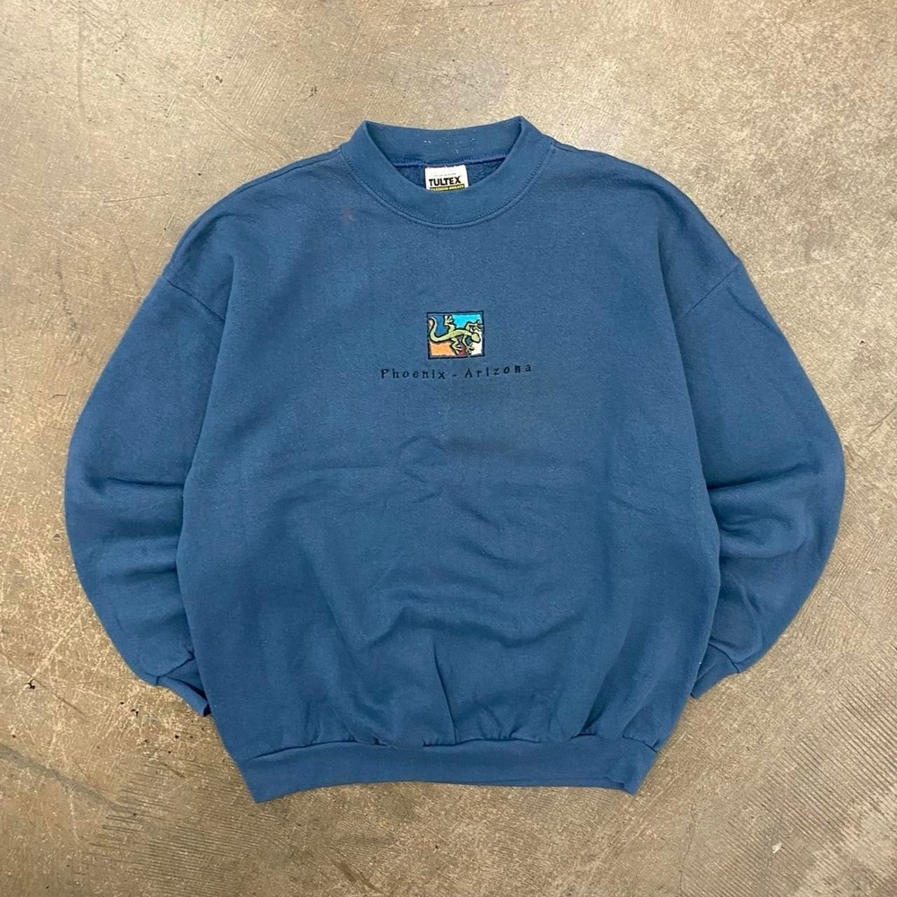 Vintage Phoenix Arizona Lizard Desert 90s Tultex Nature Destination Sweatshirt L